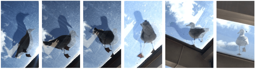 屏幕快照 2018-09-08 下午6.35.35